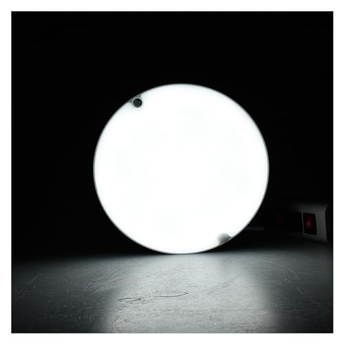 Luz de techo a prueba de humedad redonda/ovalada IP65 Baño impermeable al aire libre Luz de patio de jardín al aire libre, 16W 20W Luz de pared moderna (color: blanco frío (5500-7000K), tamaño: