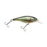 Berkley Flicker Shad Shallow Fishing Lure, HD Bluegill, 1/6 oz, 2in | 5cm Crankbaits, Size, Profile and Dive Depth Imitates Real Shad, Equipped with Fusion19 Hook