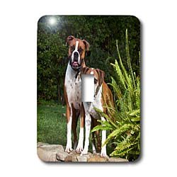 Interrupteur à bascule simple Boxer Dogs pour changer vos plaques