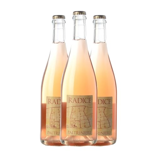 Paltrinieri Lambrusco Radice Lambrusco di Sorbara Modena 75 cl Vino tinto (Caja de 3 Botellas de 75 cl)