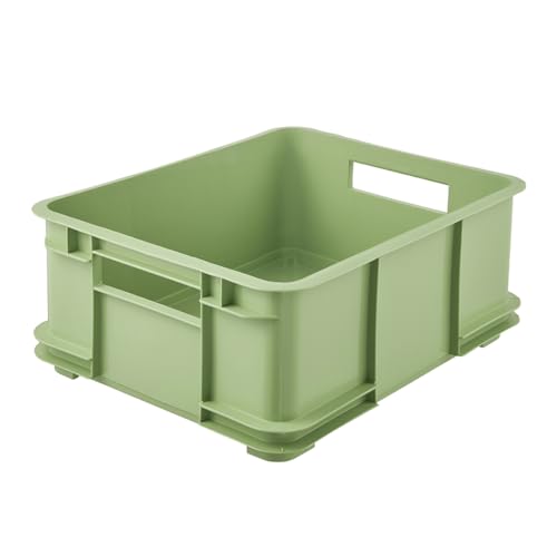 keeeper Caja de almacenamiento EURO-BOX, colección Bruno ECO, tamaño L, 43x35x17,5, ECO Verde