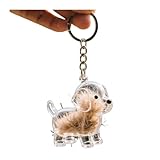 Dog Hair Collector Keychain Charm Memorial Storage Box, Transparent Bottle for Pet Hairs Keychain, Pets Fur Keepsake Keyring for Collecting Hair, Portable Pet Memory Capsule(1)