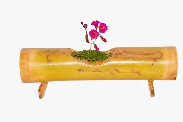 WATIKA CRAFT Wall Hanging Bamboo pots for Plants, Natural Bamboo Planter. Hanging pots for Plants Indoor, Hanging pots for Plants Balcony (Counter Pot) (B0CGRJLF2T) Amazon Price History, Amazon Price Tracker