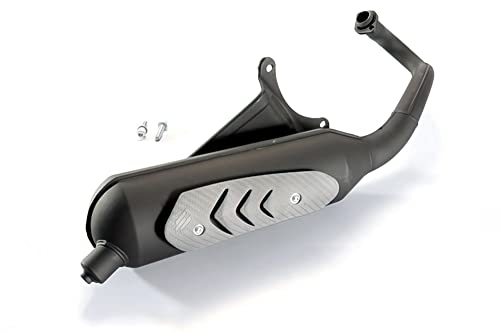 Pot d'échappement Polini original Piaggio Zip 50 cc 2 temps