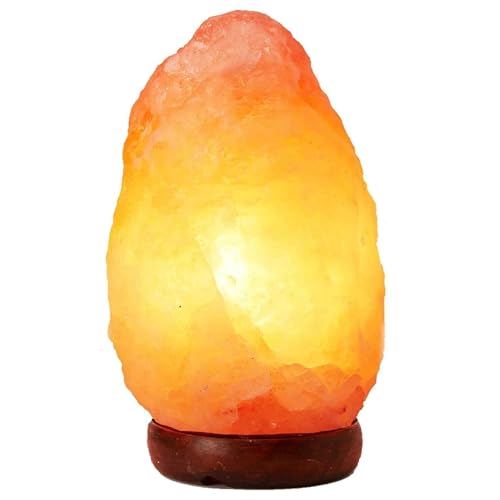 MOMENT Himalayan Salt Lamp Small Size 2-3kg with USB Cord and Dimmer Switch Natural Himalayan Crystal Rock Hand Crafted Wooden Base Night Light for Home Decor Gifts (Orange)