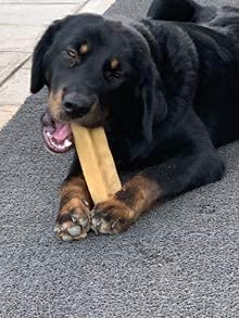 Tibetan Dog Chew (Large, 2 Lbs Yak Cheese Sticks - Healthy And Premium Treats: No Additives, Rawhide-Free, Grain-Free And Gluten-Free (For Medium And Large Dogs) #TOP1
