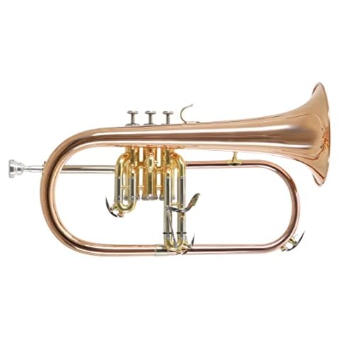 Roy Benson FH-302G Gold Brass Flugelhorn Cover