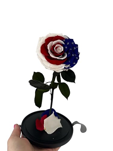 Rosa preservada con bandera de Estados Unidos PRESERVEDUSA natural de larga duración 4