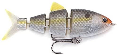 Spro SB25 BBZ1 Swim Bait-Pack of 1, Natural Shad