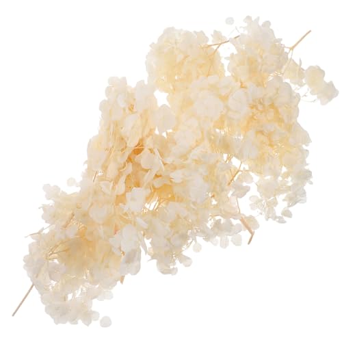 ARTIBETTER de Flor de Hortensia Seca Preservada Natural para Decoración de Bodas Confeti para Fiestas y Centro de Mesa Hogar y Jardín Paquete de Cajas