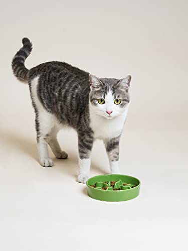 Ceramic Slow Feeder Dog Bowls Small Breed, 0.5 Cups Dog Food Dish For Fast Eaters, Puzzle Bowl For Small Dogs And Cats，5.5 Inch-Green #TOP6