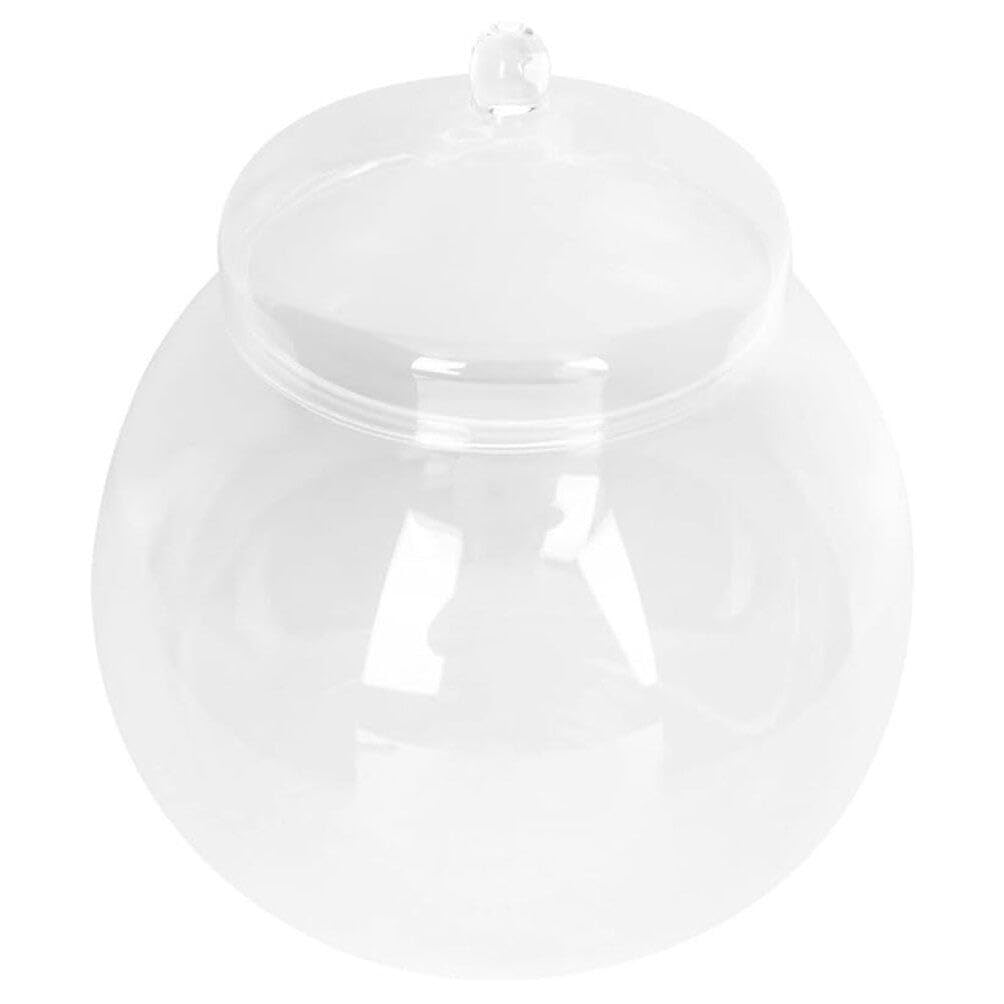 BESPORTBLE Macetero De Cristal para Terrario Pecera De Cristal Pequeña con Tapa Soporte para Planta Hidropónica Transparente para Pecera Betta Decoración De Escritorio para El Hogar Y La