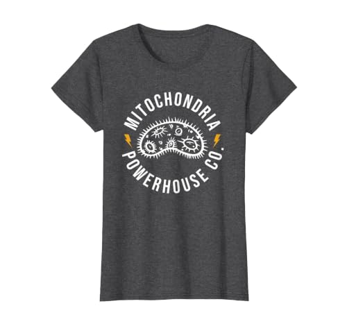 Mitochondria Powerhouse Co. T-Shirt, Women, Dark Heather Grey, Small