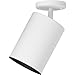 Progress Lighting P6397-30 Directional Heat Lamp, White