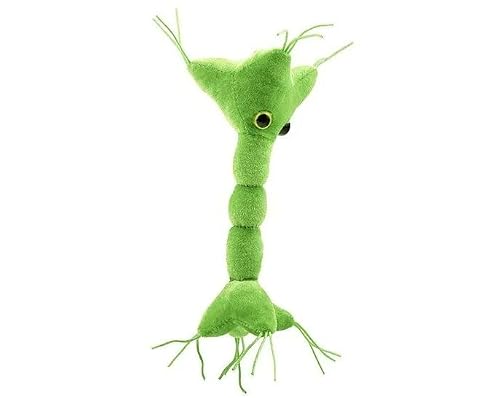 Giantmicrobes Nerve Cell Plush – Learn About Your Nervous System With This Memorable Plush, Unique & Educational Gift For Scientists, Students, Neurologists And Anyone With A Healthy Sense Of Humor #TOP2