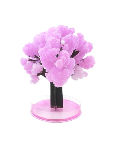 Sakura Magic Trees - Japanese Tree with Cherry Blossom - Japanese Miniature Tree Kit - Flower Decoration - Gift Idea for Japanese Lovers