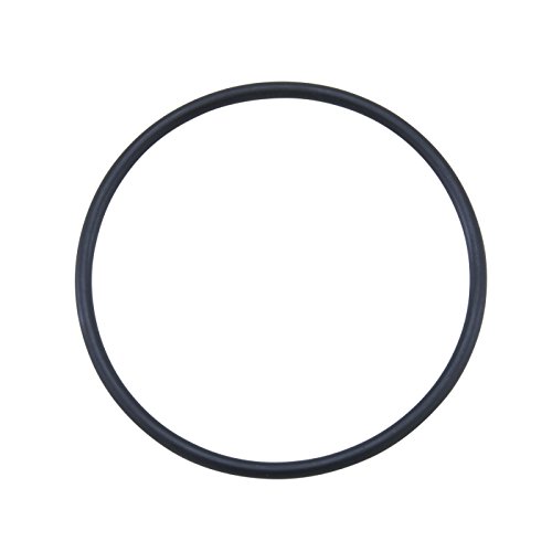 Axle o-Ring for Ford 10.25