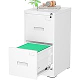 Greenvelly 18' D File Cabinet,...