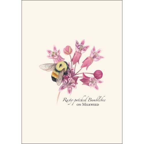 Image of Earth Sky + Water - Bumblebee Assortment Notecard Set - 8 Blank Cards with Envelopes (2 each of 4 styles)