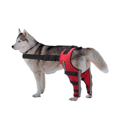 Generic �y�b�g�p�㎈�T�|�[�^�[ ���p���s�⏕�x���g �p�ナ�n�r���Œ�o���h �V�����p�i �ʋC���L�k�f�� �㎈�T�|�[�g�ی� ���^���^��^���Ή� ��Ԉ��S���� �֐ߕی� �y�b�g���n�r���⏕��� (��L)