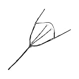 KenTaur