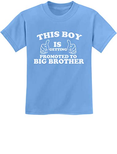 TeeStars - This Boy is Getting Promoted to Big Brother Kids T-Shirt 2T California Blue