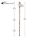 FOREST PILOT 3 Pieces Detachable Hardwood Walking Stick Cross Head with a Compass (Nature Color, 48 Inches, 1 Piece)…