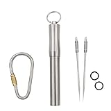 HRX Package Waterproof Stainless Steel Toothpick Holder Keychain with 2 Titanium Toothpicks, Portable Pill Fob Box for Purse Pocket, EDC Tool Kit with Titanium D-ring Locking Carabiner