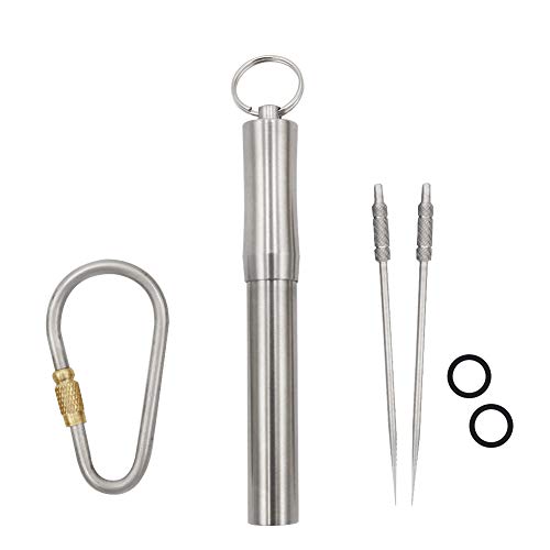 HRX Package Waterproof Stainless Steel Toothpick Holder Keychain with 2 Titanium Toothpicks, Portable Pill Fob Box for Purse Pocket, EDC Tool Kit with Titanium D-Ring Locking Carabiner
