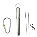 HRX Package Waterproof Stainless Steel Toothpick Holder Keychain with 2 Titanium Toothpicks, Portable Pill Fob Box for Purse Pocket, EDC Tool Kit with Titanium D-ring Locking Carabiner