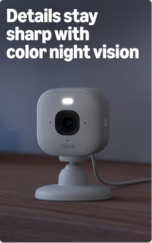 Blink Mini 2K+