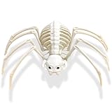 mogenda Large Realistic Spider Skeleton,Horrible Spider Bone,Vivid Spider Skeleton Model Halloween Decorations for Yard Garden Lawn,Haunted House Props(Spider-1p)
