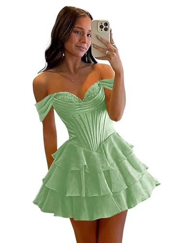 Off Shoulder Floral Short Homecoming Dresses Lace Tiered Chiffon A Line Cocktail Party Dress HM339