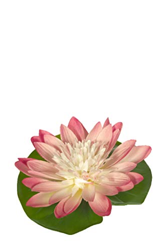 Express Flor 4 nenufares Artificiales flotantes de Seda Cover