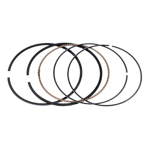 �o�C�N�I�[�g�o�C�A�N�Z�T���[�V�����_�[�{�A�T�C�Y 76 .25 .5 �~�����[�g���s�X�g�������O�t���L�b�g C-BR1000 2008-2016(Rings 76.5mm)