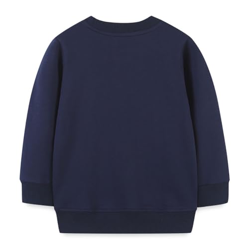 Boys Sweatshirts Long Sleeve Sweatshirts T-shirts Crew Neck Cotton Casual Sweatshirts Cartoon Tops for Boys-502