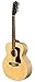Guild Guitars F-2512E Maple 12-string Acoustic Guitar, Blonde Jumbo Archback Solid Top, Westerly Collection