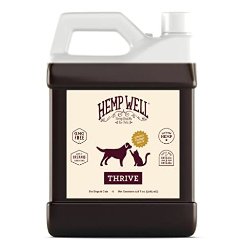 What is hemp oil good for dr axe