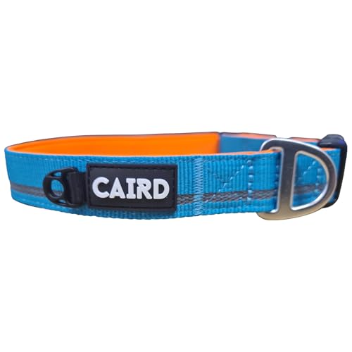 Collier chien nylon durable CAIRD taille M réglable contre les fuites turquoise - 4
