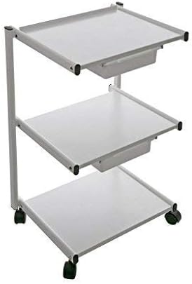 Heavy-Duty Metal Rolling Spa Cart w/ 2 Plastic Bucket Drawers