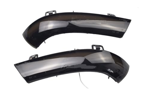Indicador espejo lateral dinámico para Passat B6 y Sharan LED