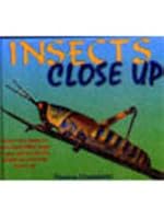 Insects Close Up 1856056090 Book Cover