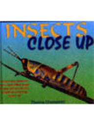 Hardcover Insects Close Up Book