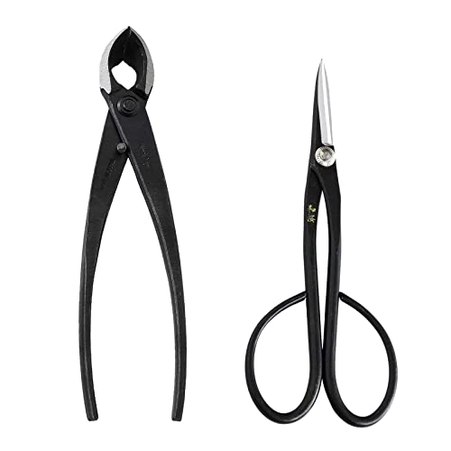 Best Japanese Bonsai Tool Kit