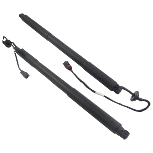 Support de levage de coffre RAV4 pour charger vos bagages facilement