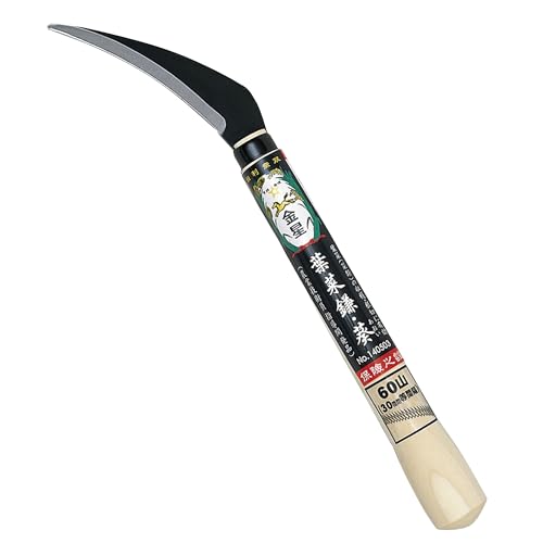 �L���{�V(Kinboshi) ���� �t�؊� �� 140503