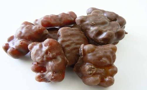 The Nutty Fruit House Milk Chocolate Covered Gummy Bears 1 Pound Bag #TOP3
