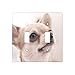 Urocza Chihuahua Drukowane podwójne przełączniki przełącznik / płyta ścienna, podwójny przełącznik światła, rozmiar 11,4 x 11,4 cm, płyta czołowa