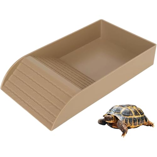 NKZbg ZAZY ঒ނ̉aM  X[v oXLOvbgtH[ T T P[X ~ߗ ybgpi (30.5x14.8x5.8cm,؂̐F)