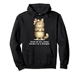 First of All Jesus Thinks I'm A Delight Cat Meme Pullover Hoodie
